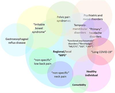 “Long COVID-19” and viral “fibromyalgia-ness”: Suggesting a mechanistic role for fascial myofibroblasts (Nineveh, the shadow is in the fascia)